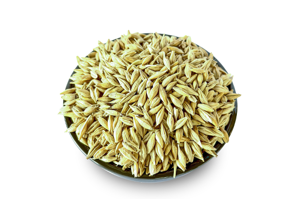 Jau (Whole Barley)